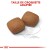 ROYAL CANIN Croquettes Giant Junior 15 kg