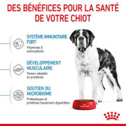 ROYAL CANIN Croquettes Giant Junior