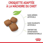 ROYAL CANIN Croquettes Giant Junior