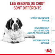 ROYAL CANIN Croquettes Giant Junior