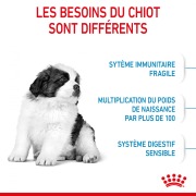 ROYAL CANIN Croquettes Giant Puppy Sac de 15 kg