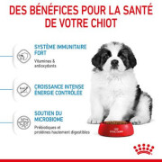 ROYAL CANIN Croquettes Giant Puppy