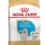 ROYAL CANIN Croquettes Golden Retriever puppy