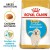 ROYAL CANIN Croquettes Golden Retriever puppy