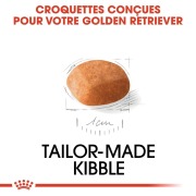 ROYAL CANIN Croquettes Golden Retriever puppy sac de 12 kg