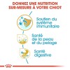 ROYAL CANIN Croquettes Golden Retriever puppy sac de 12 kg
