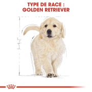 ROYAL CANIN Croquettes Golden Retriever puppy sac de 12 kg