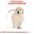 ROYAL CANIN Croquettes Golden Retriever puppy