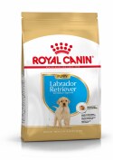 Croquettes labrador royal canin