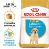 ROYAL CANIN Croquettes Labrador Retriever Puppy sac de 12 kg
