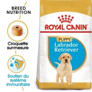 ROYAL CANIN Croquettes Labrador Retriever Puppy