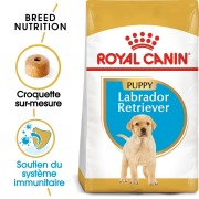 ROYAL CANIN Croquettes Labrador Retriever Puppy sac de 12 kg