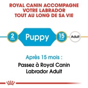 ROYAL CANIN Croquettes Labrador Retriever Puppy sac de 12 kg