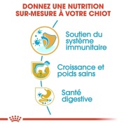 ROYAL CANIN Croquettes Labrador Retriever Puppy sac de 12 kg