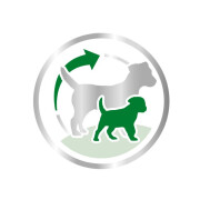 ROYAL CANIN Croquettes Mini Starter Mother & Babydog