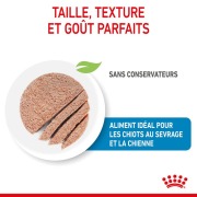 ROYAL CANIN Starter Mousse Mère Chiot 195 g