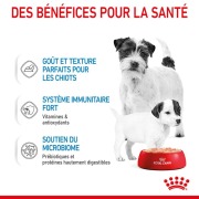 ROYAL CANIN Starter Mousse Mère Chiot 195 g