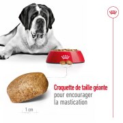 ROYAL CANIN Croquettes Giant Adult