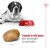 ROYAL CANIN Croquettes Giant Adult