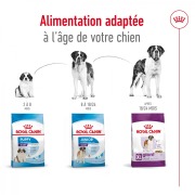 ROYAL CANIN Croquettes Giant Adult sac de 15 kg