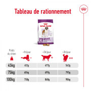 ROYAL CANIN Croquettes Giant Adult