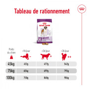 ROYAL CANIN Croquettes Giant Adult sac de 15 kg
