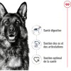 ROYAL CANIN Croquettes Maxi Adult