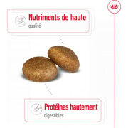 ROYAL CANIN Croquettes Maxi Adult