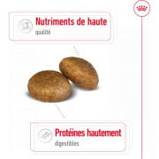 ROYAL CANIN Croquettes Maxi Adult