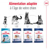 ROYAL CANIN Croquettes Maxi Adult