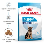 ROYAL CANIN Croquettes Maxi Puppy chiot