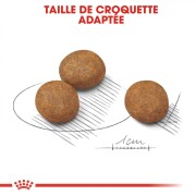ROYAL CANIN Croquettes Maxi Puppy chiot