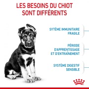 ROYAL CANIN Croquettes Maxi Puppy chiot