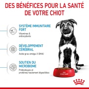ROYAL CANIN Croquettes Maxi Puppy chiot