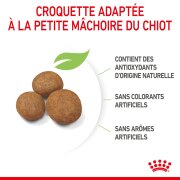 ROYAL CANIN Croquettes Maxi Puppy chiot