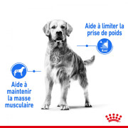 ROYAL CANIN Croquettes Maxi Light Weight Care
