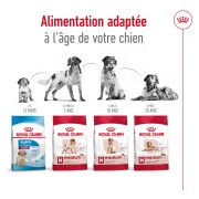 ROYAL CANIN Croquettes Medium Ageing 10+
