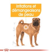 ROYAL CANIN Croquettes Medium Dermacomfort Sac de 3 kg