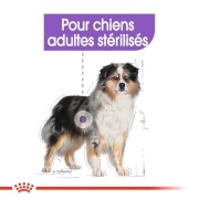 ROYAL CANIN Croquettes Medium Sterilised