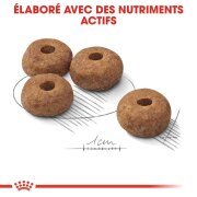 ROYAL CANIN Croquettes Medium Sterilised