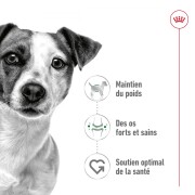 ROYAL CANIN Mini Adult, croquettes