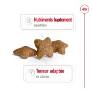 ROYAL CANIN Mini Adult, croquettes