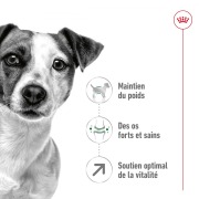 ROYAL CANIN Croquettes Mini Adult 8+