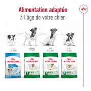 ROYAL CANIN Croquettes Mini Adult 8+