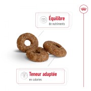 ROYAL CANIN Croquettes Mini Ageing +12