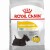ROYAL CANIN Croquettes Mini Dermacomfort adulte