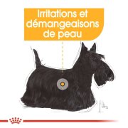 ROYAL CANIN Croquettes Mini Dermacomfort adulte