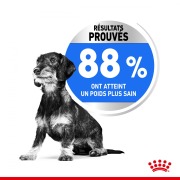 ROYAL CANIN Croquettes Mini Light Weight Care