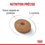 ROYAL CANIN Croquettes Mini Light Weight Care