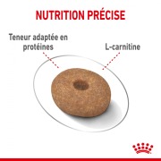 ROYAL CANIN Croquettes Mini Light Weight Care